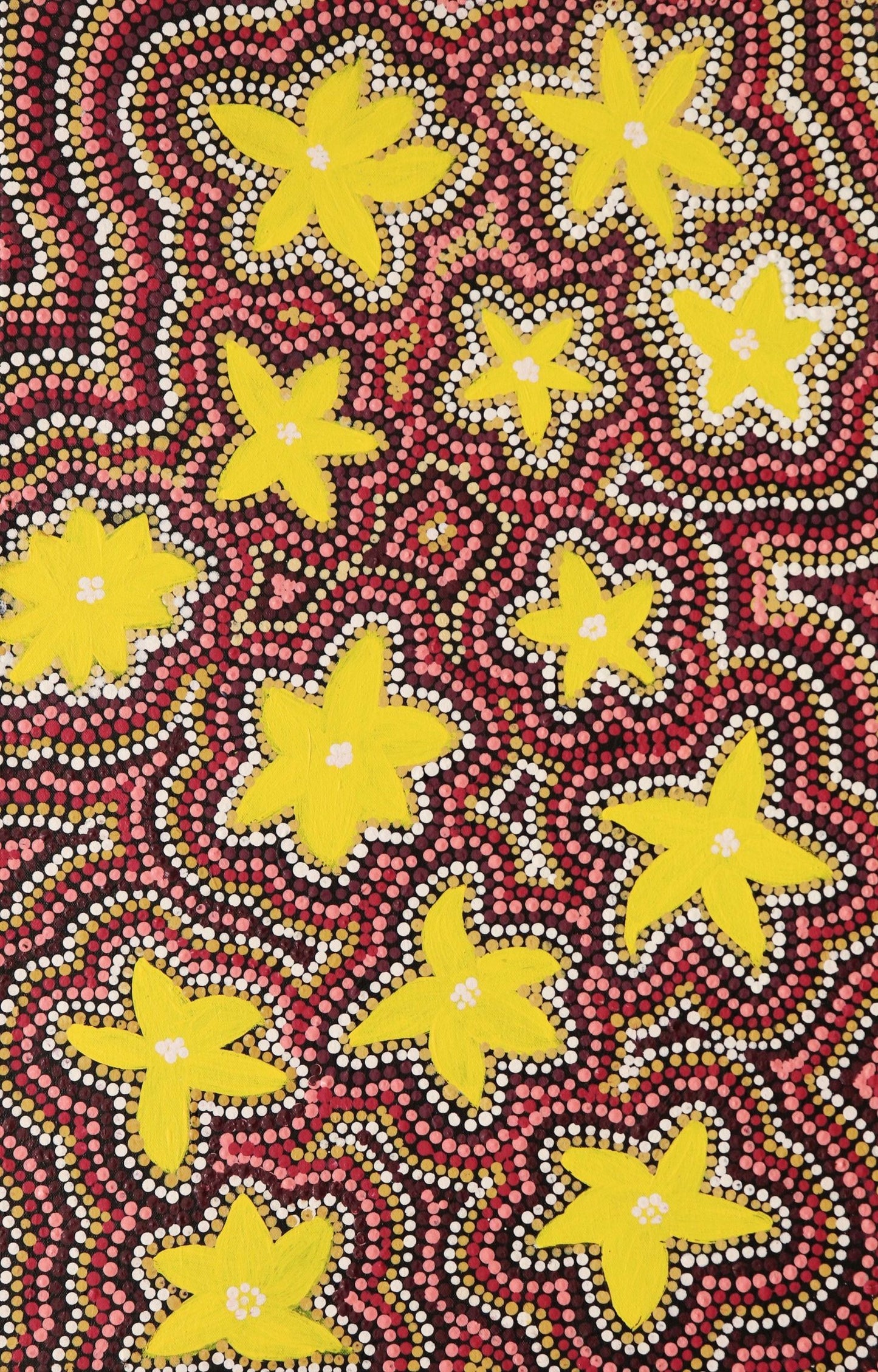 160-22 Wildflowers in the Karntimarlarl, Wolf Creek Crater area. 70 x 45 Acrylic on Canvas