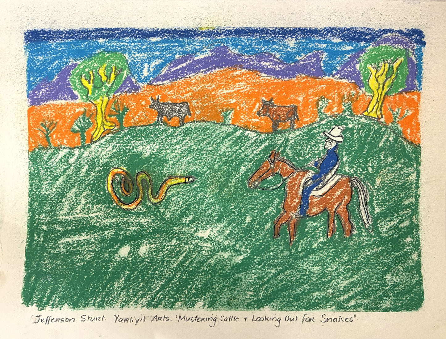 171-26 Mustering Cattle and Looking Out for Snakes. 28x38cm pencil/pastel on paper