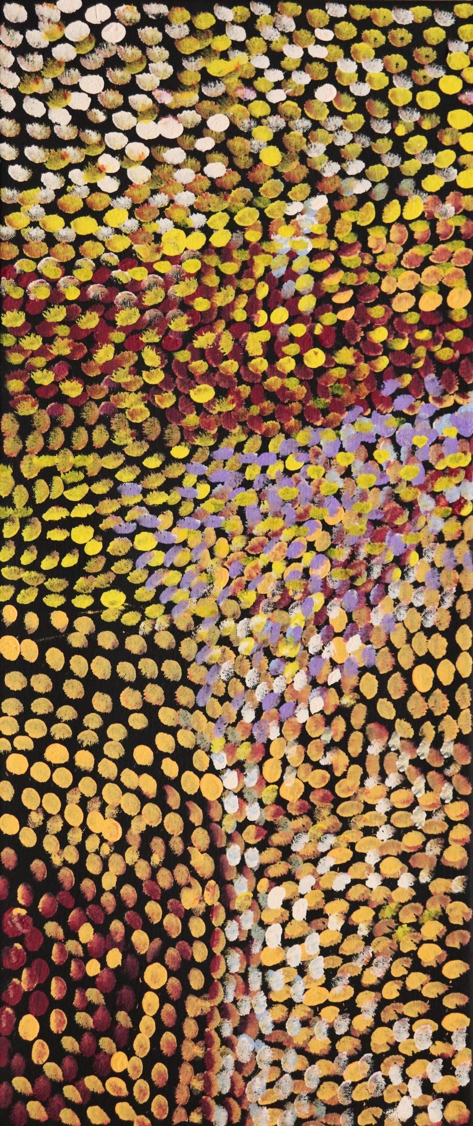 220-25 Argyle Station - reflections of plant life and country. 70 x 30 Acrylic on Canvas