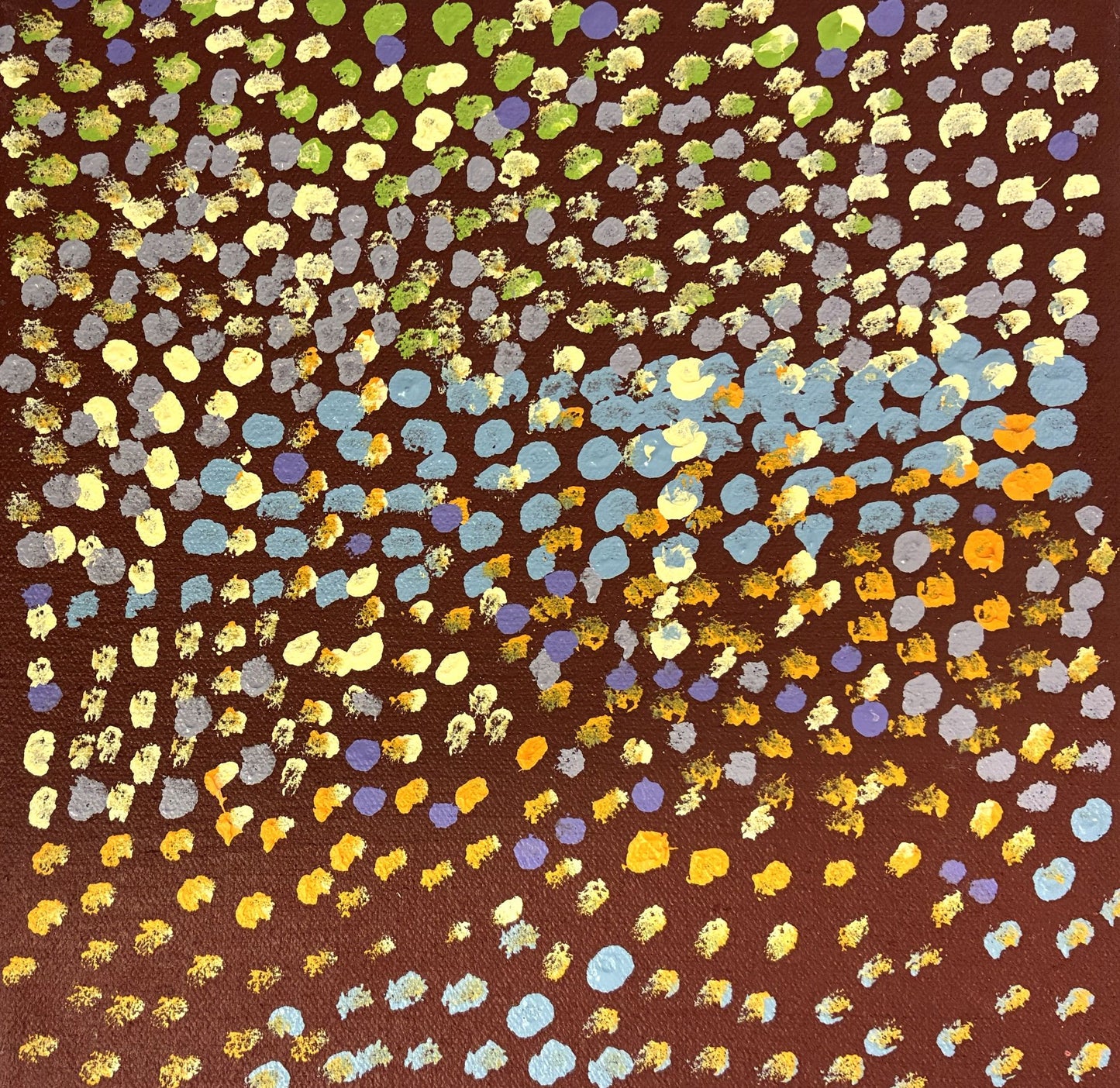 221-26 Wattle and Mulla Mulla on the Tanami. 20x20cm acrylic on canvas