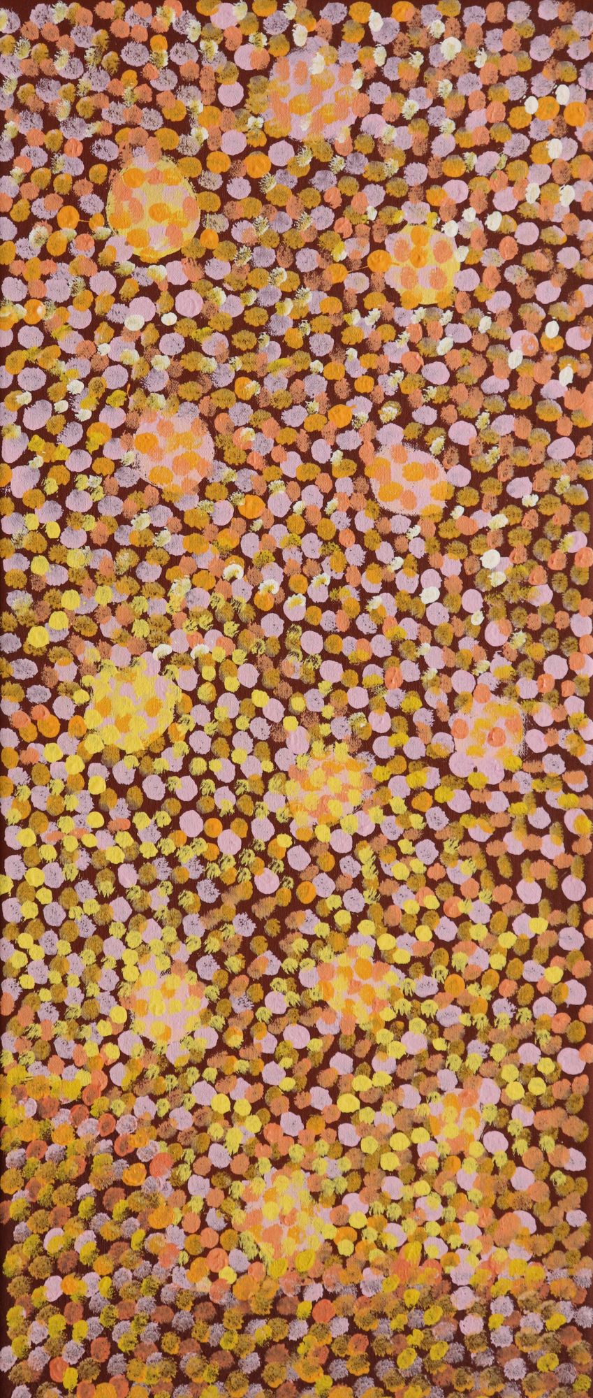 287-25 Spinifex along the Tanami and around Clay Pans. 70 x 30 Acrylic on Canvas