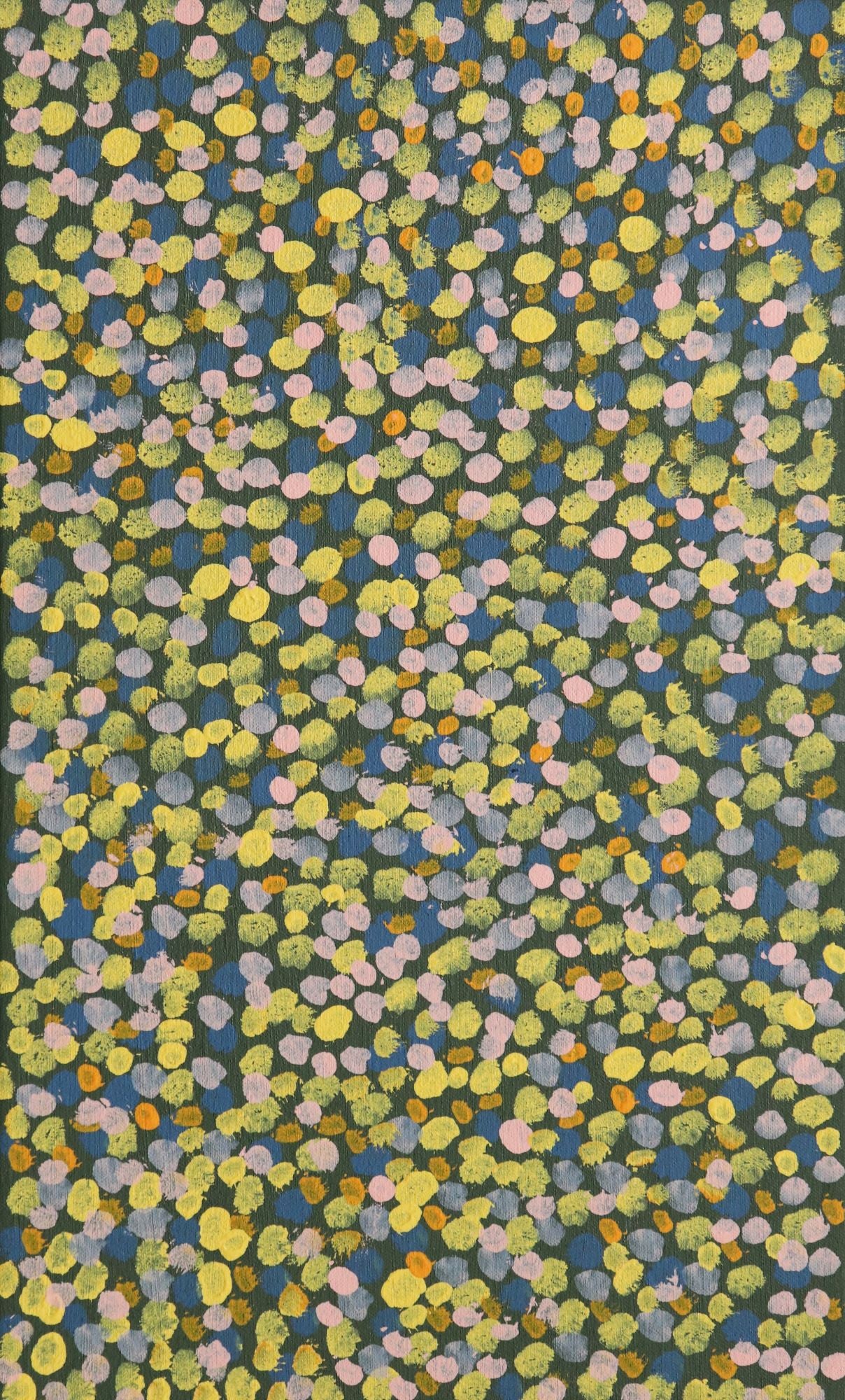 292-25 Reflections of Eucalyptus, Mulla Mulla and Wild Borage along the Tanami. 50 x 30 Acrylic on Canvas