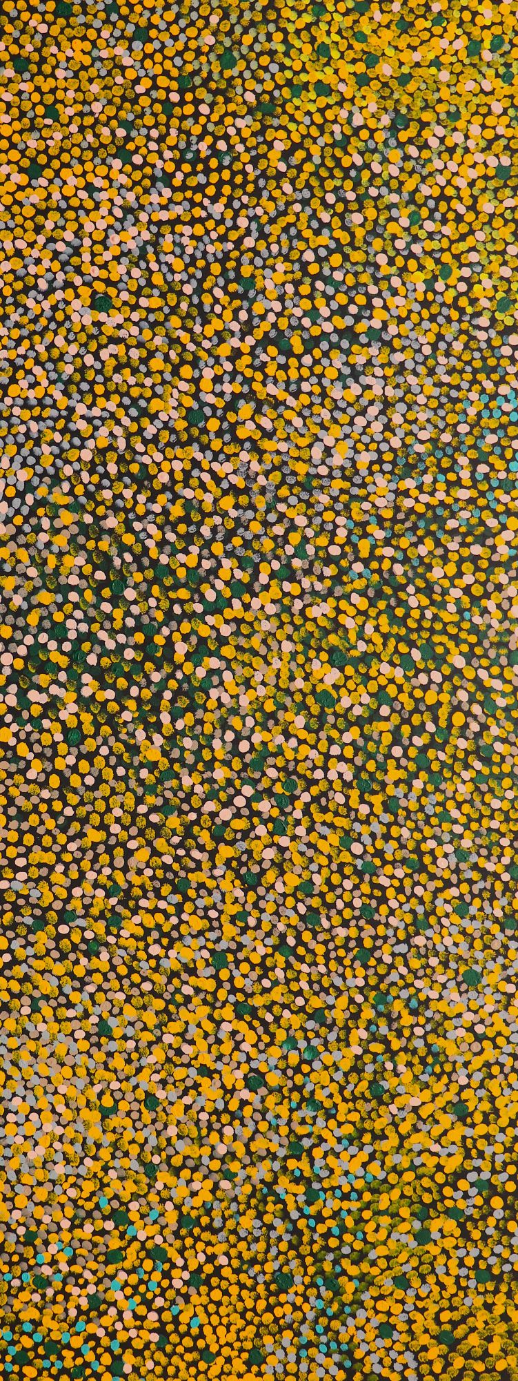 330-25 Spinifex Grasses at the end of the Wet Season. 150 x 60 Acrylic on Canvas