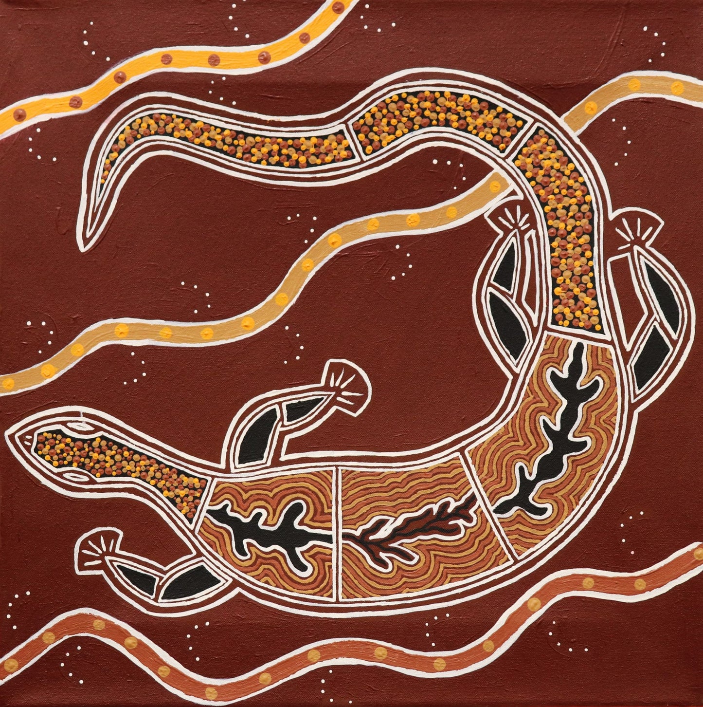 71-26 Goanna Story. 50 x 50 cm acrylic on canvas