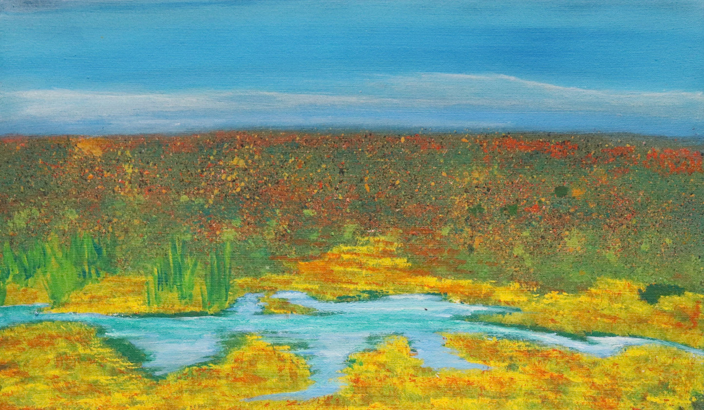 81-26 Wet season on country. 50 x 30 cm acrylic on canvas