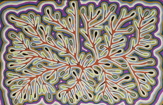 Bush Tucker Plants - Saltbush. 45x70cm acrylic on canvas