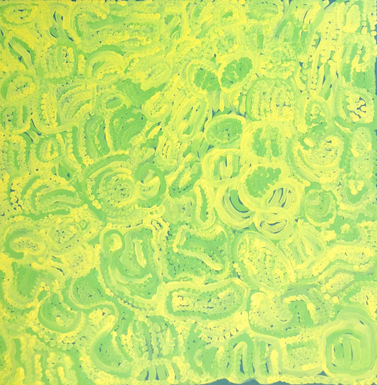 134-25 Clay Pans After the Rain - Kururrungku. 50 x 50 Acrylic on Canvas