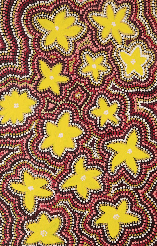 160-22 Wildflowers in the Karntimarlarl, Wolf Creek Crater area. 70 x 45 Acrylic on Canvas