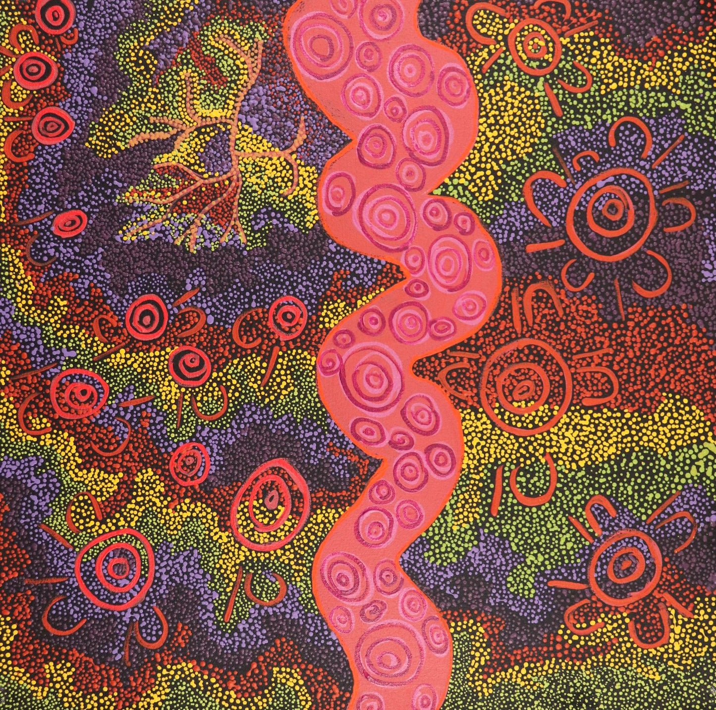 201-26 Searching for Sand Frogs in the Dunes. 50x50cm acrylic on canvas