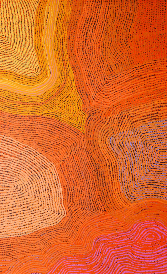 252-25 My Birthplace, Ben River, Argyle Station. 160 x 100 Acrylic on Linen