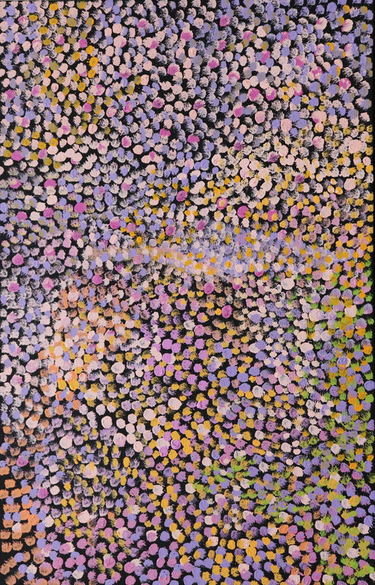 256-25 Wildflowers in the Karntimarlarl, Wolf Creek Crater area. 70 x 45 Acrylic on Canvas