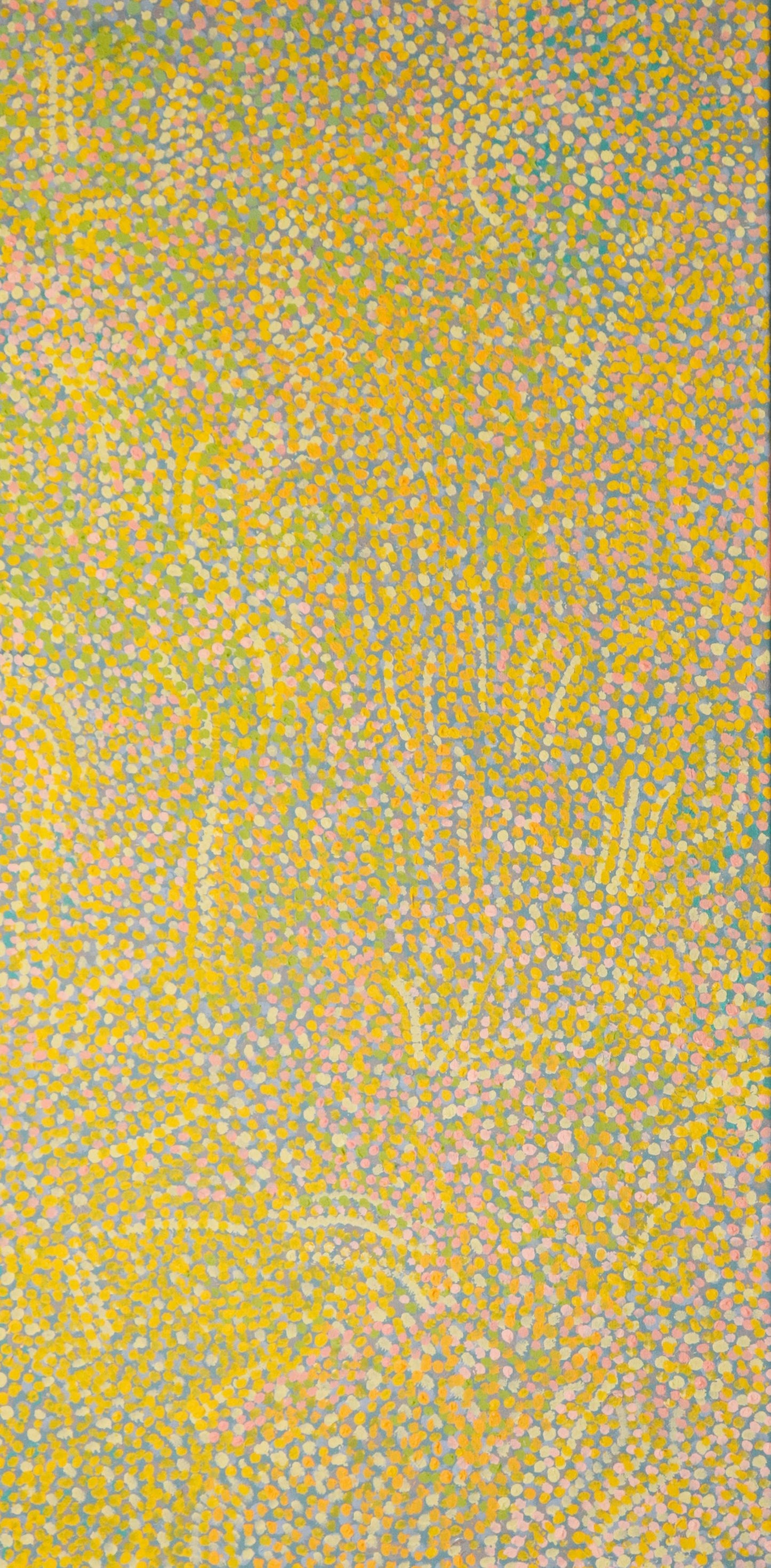 28-26 Spinifex Country during the Wildflower Season. 120 x 60 Acrylic on Canvas