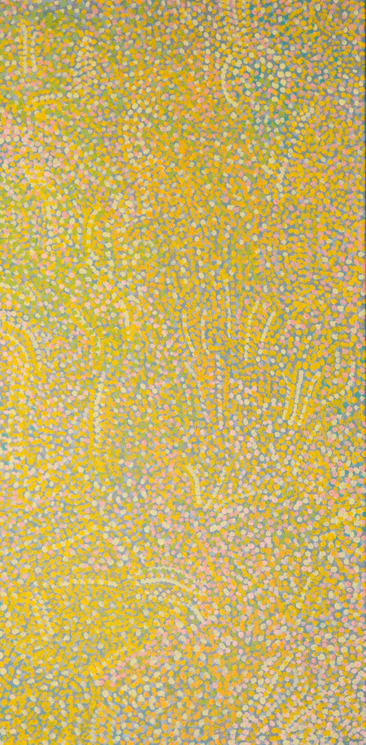 28-26 Spinifex Country during the Wildflower Season. 120 x 60 Acrylic on Canvas