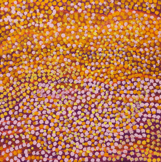 289-25 Wattle and Mulla Mulla on the Tanami. 50 x 50 Acrylic on Canvas