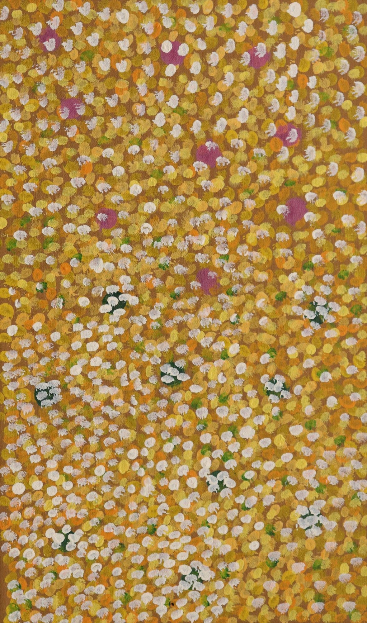 291-25 Wattle and Mulla Mulla on the Tanami. 50 x 30 Acrylic on Canvas