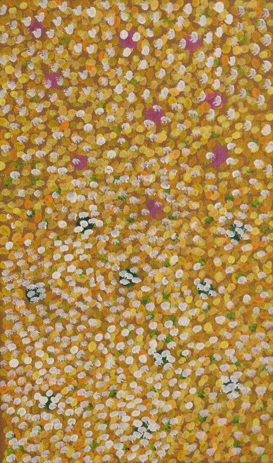 291-25 Wattle and Mulla Mulla on the Tanami. 50 x 30 Acrylic on Canvas