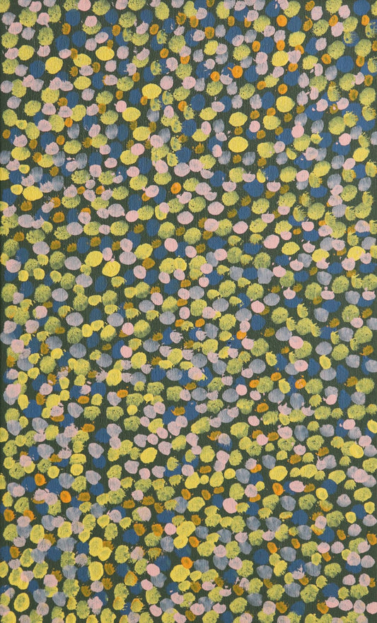 292-25 Reflections of Eucalyptus, Mulla Mulla and Wild Borage along the Tanami. 50 x 30 Acrylic on Canvas