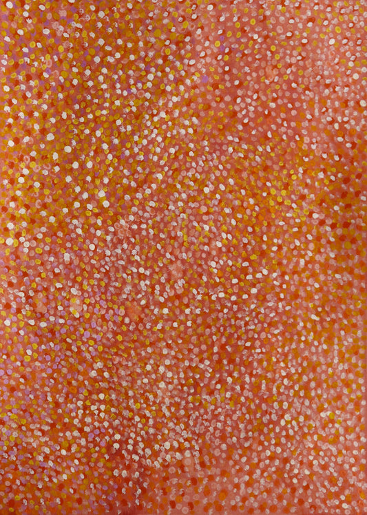 310-25 Salt Water Lakes and Clay Pans - Tanami to Lake Gregory. 61 x 71 Acrylic / Watercolour on Archival Paper