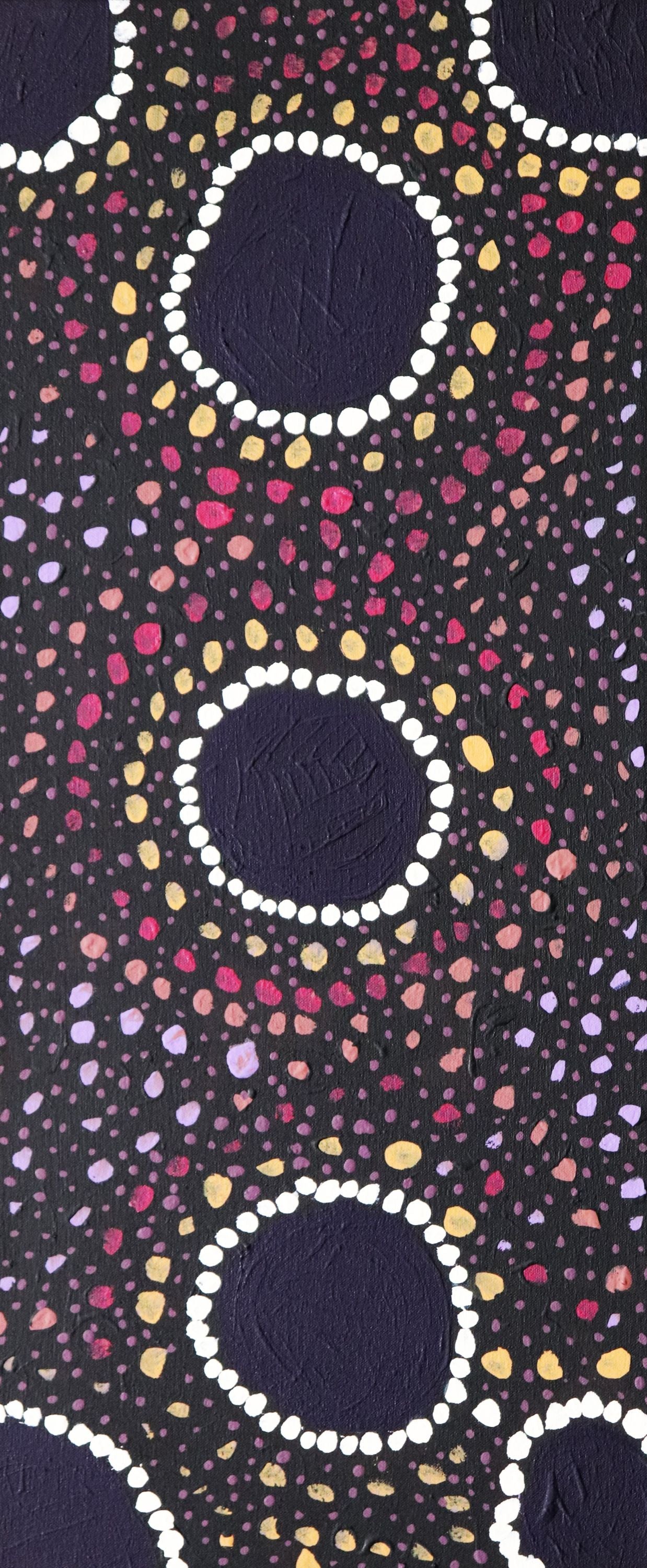 315-25 Marks and Patterns of Ceremony and Story Telling. 70 x 30cm. Acrylic on Canvas