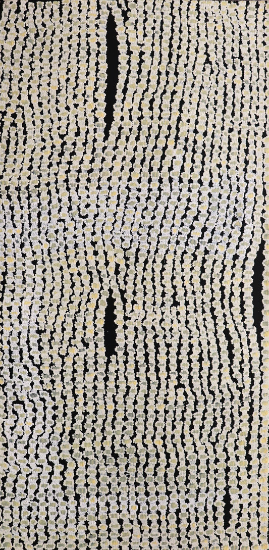 32-26 Sandhills and Soakage Water Story. 120 x 60 Acrylic on Canvas