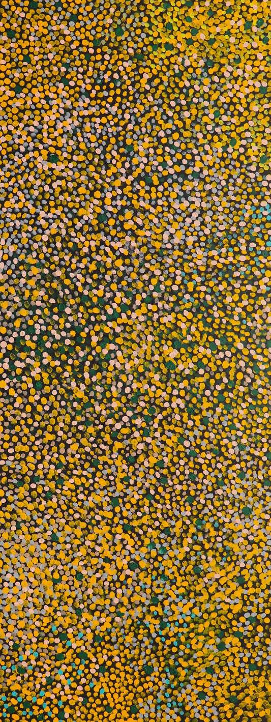 330-25 Spinifex Grasses at the end of the Wet Season. 150 x 60 Acrylic on Canvas