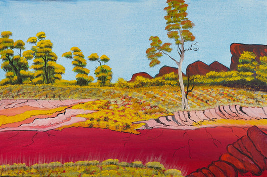 367-26 Hunting and Gathering Place - out Billiluna Way. 60x90cm acrylic on canvas