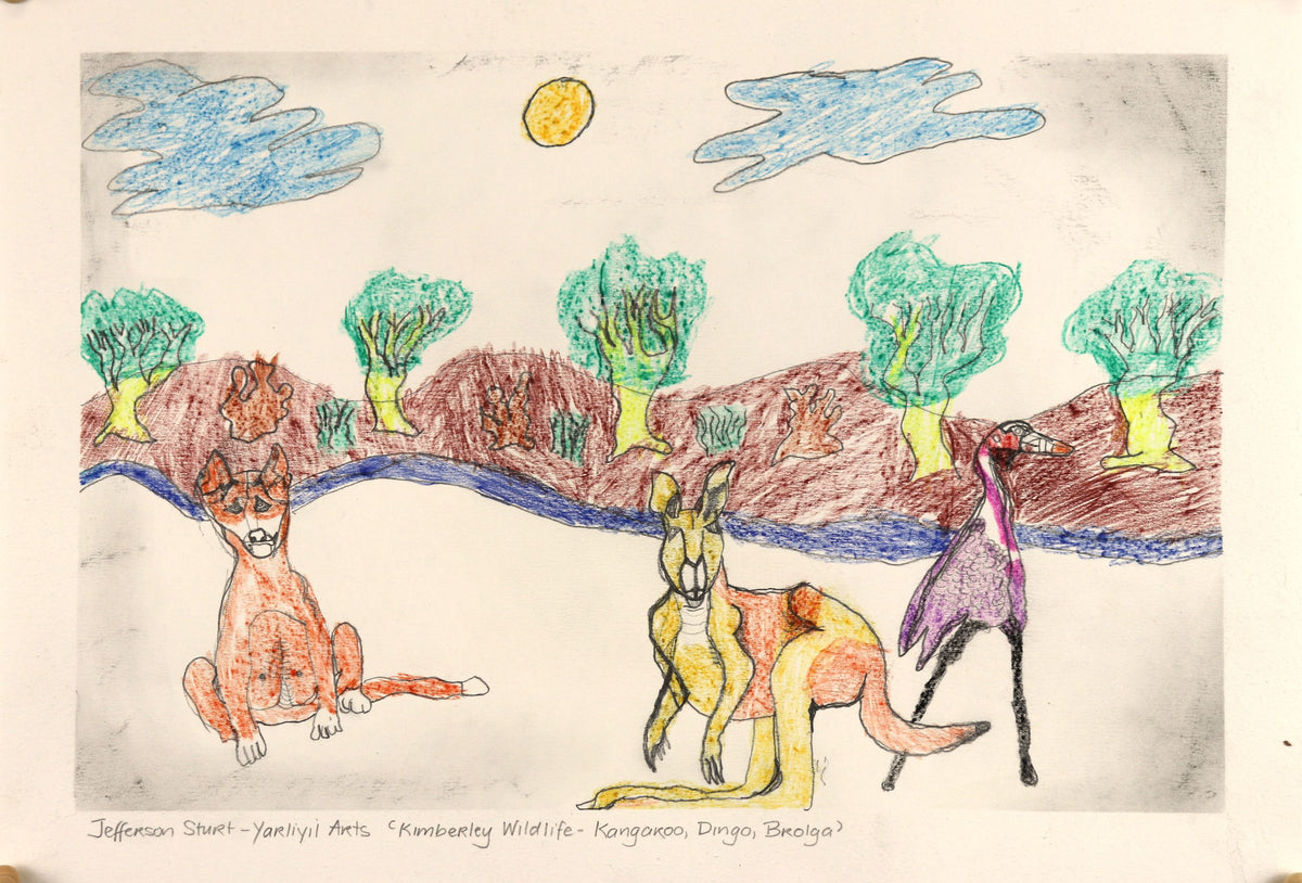 376-26 Kimberley Wildlife - Kangaroo, Dingo, Brolga. 30 x 42cm Pencil/Pen on Archival Paper