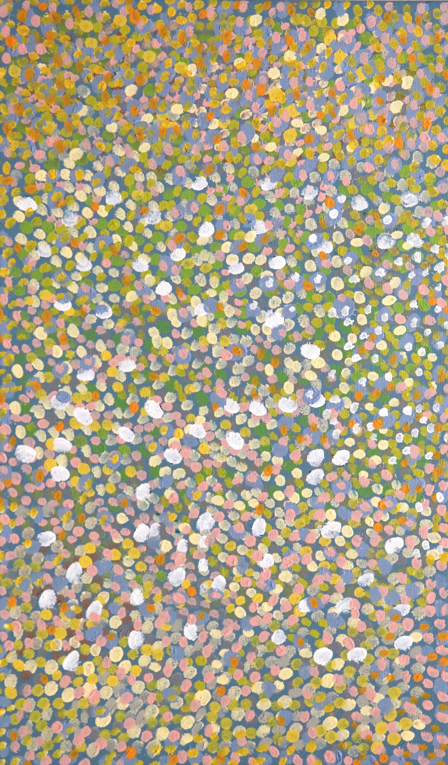 4-26 Mardiwah Loop - Wet Season - Everlasting Flowers and Wattle. 75 x 45 Acrylic on Canvas