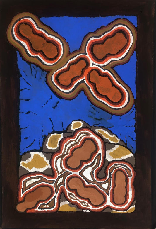 11-20 Australian Bushtucker. 60cm x 90cm. Acrylic on canvas