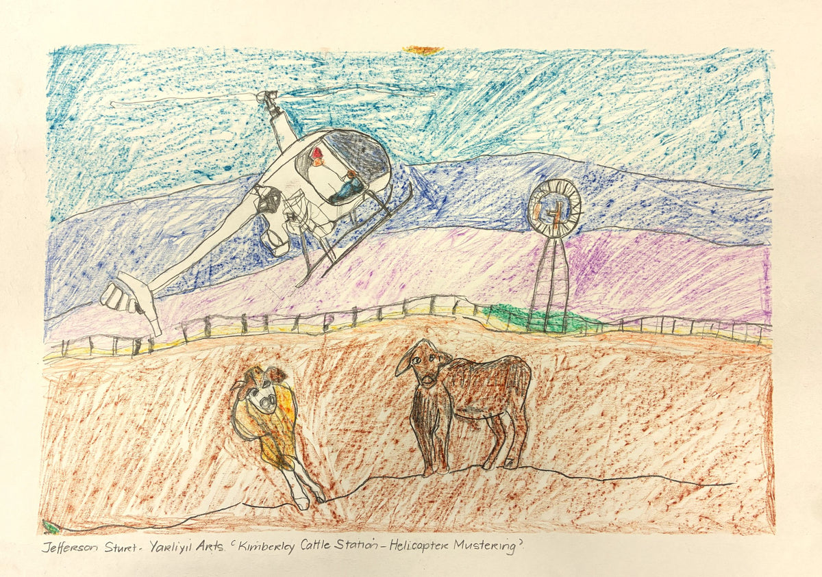 397-26 Kimberley Cattle Station -Helicopter Mustering. 30 x 42cm Pencil/Pen on Archival Paper