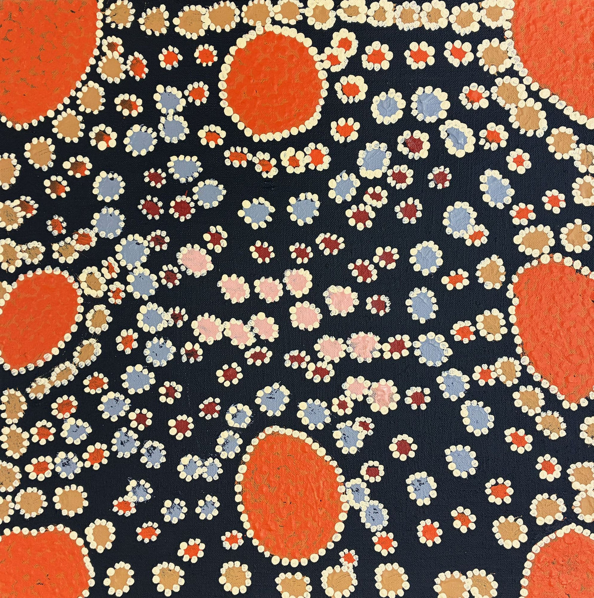 466-26 Wildflowers along the Tanami after rain. 30x30cm acrylic on canvas