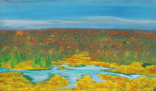 81-26 Wet season on country. 50 x 30 cm acrylic on canvas