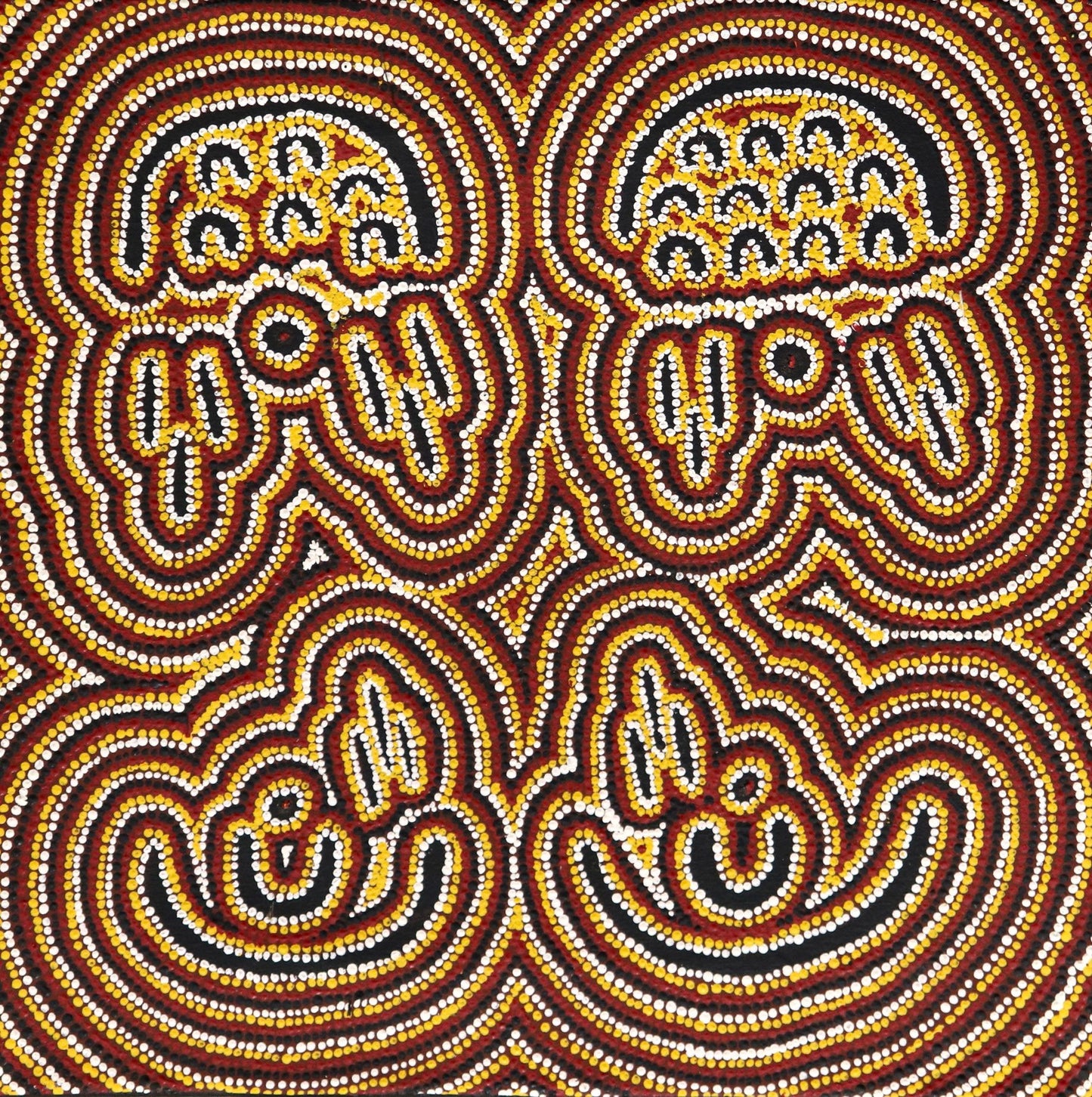 107-26 King Fisher Dreamtime Story. 50x50cm acrylic on canvas