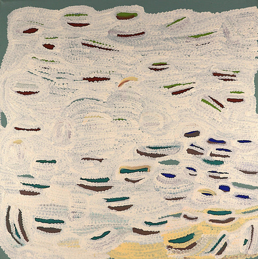 160-26 Plant Life Among the Sand Dunes and Salty Claypans of the Tanami. 50x50cm acrylic on canvas