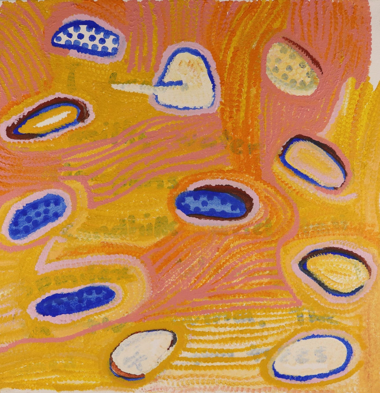 161-26 I am from Milky Water, Claypans and Sandhills. 50x50cm acrylic on canvas