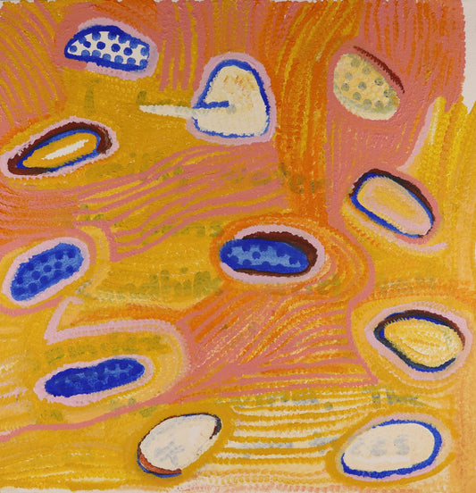 161-26 I am from Milky Water, Claypans and Sandhills. 50x50cm acrylic on canvas