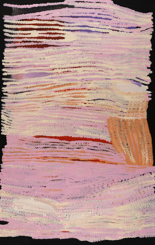 178-26 Plant Life Among the Sand Dunes and Salty Claypans of the Tanami. 70x45cm acrylic on canvas