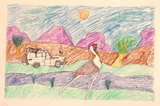 431-26   Brolga out Ringer Soak Way.  38 x 55cm Pencil/Pen on Archival Paper