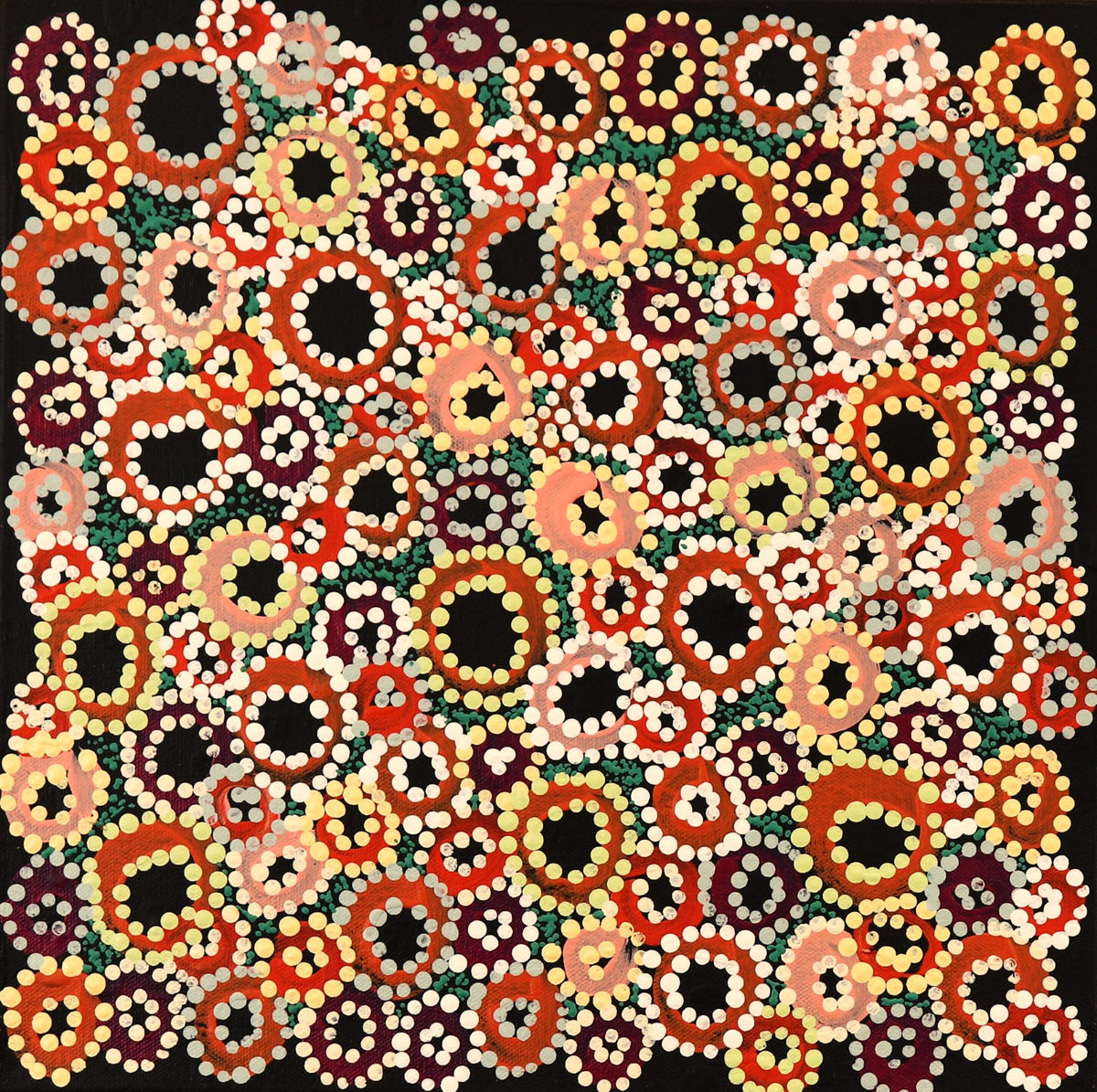 462-26 Wildflowers along the Tanami after rain. 30x30cm acrylic on canvas