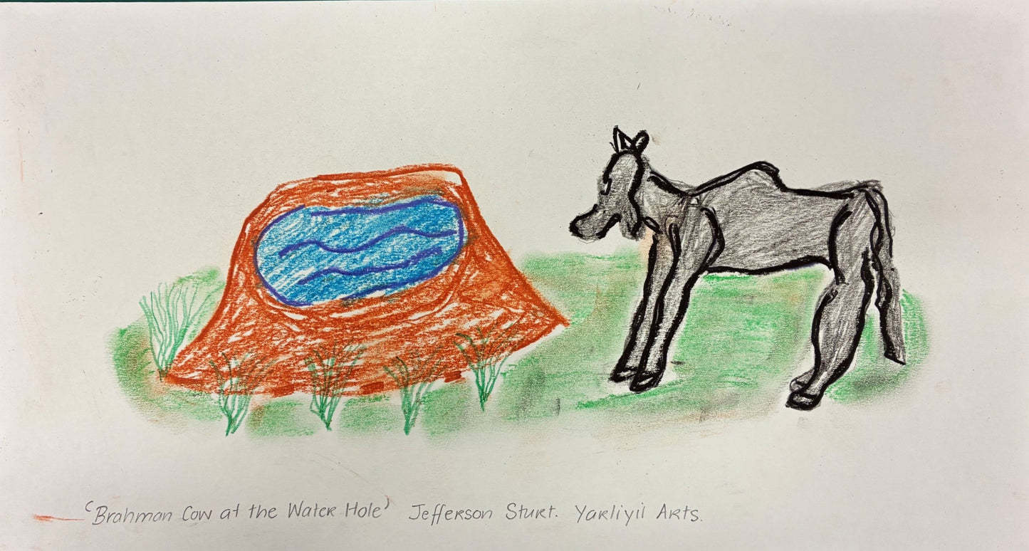149-26  Brahman Cow at the Water Hole. 23x42cm pastel on paper