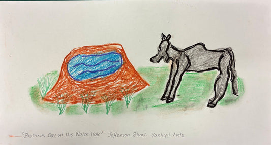 149-26  Brahman Cow at the Water Hole. 23x42cm pastel on paper