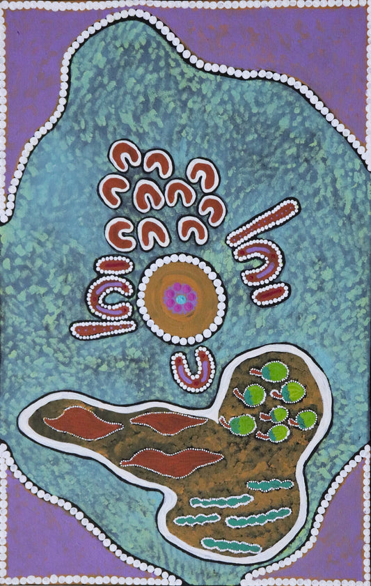 15-26  Bush Foods in the Balgo Area - Foods for Women's Gathering. 70 x 45 Acrylic on Canvas